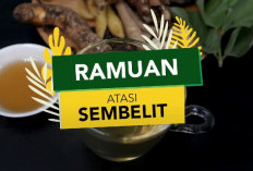 Sembelit? Intip Ramuan Herbal Mudah dari Temulawak hingga Daun Ungu