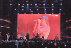 Turnstile Raih 2 Penghargaan Bergengsi di Grammy Awards 2026
