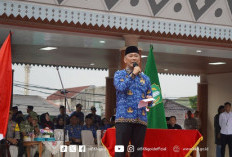 Silakan Disimak Kalimat Kepala BKN soal PPPK Paruh Waktu, Solusi Strategis!