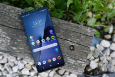 HP Sony Xperia 1 VIII Muncul di FCC, Wireless Charging