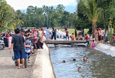 Irigasi Sungai Ketahun Viral, Keselamatan Pengunjung jadi Perhatian