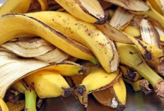 Inilah Rahasia di Balik Kulit Pisang yang Sering Dibuang