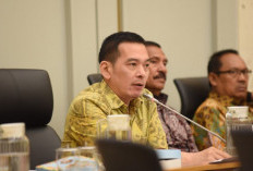 Daniel Johan Minta Polisi Usut Dalang Pengoplosan Beras