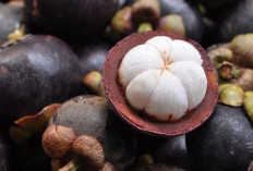 Manggis Dinobatkan Sebagai Buah Terbaik se-Asia Tenggara versi Taste Atlas 2025