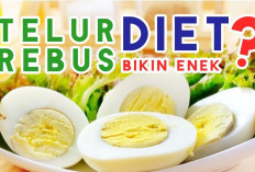Cara Diet Dengan Telur Rebus Turunkan BB Lebih dari 10 Kg