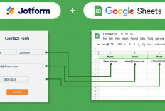 Mencari Pengganti Excel? Berikut 4 Alternatif Software Pengolahan Data Terbaik