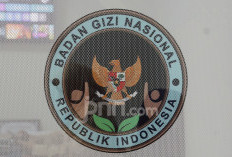 'No Service, No Pay', BGN Bisa Langsung Stop Insentif Rp 6 Juta per Hari untuk SPPG