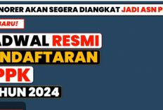 Jadwal Pendaftaran PPPK 2024: Pengangkatan Honorer Menjadi ASN