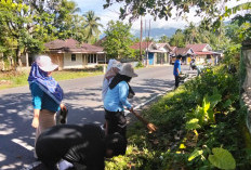 Sambut HUT Lebong ke-22, Kecamatan Lebong Tengah Gelar Aksi Gotong Royong Massal