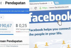 Cara Mengisi Monetisasi Akun Pembayaran Facebook Pro dengan Benar