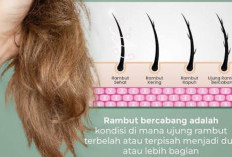 Cara Mengatasi Rambut Bercabang Tanpa Dipotong