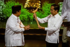 Publik Meyakini Abolisi & Amnesti Tak Ganggu Harmoni Prabowo–Jokowi