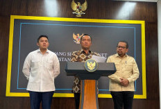 Dadan Hindayana Dicopot dari Kepala BGN, Digantikan Nanik S Dayang 