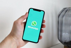 WhatsApp Uji Coba Fitur Pesan yang Bisa Hilang Setelah Dibaca di iOS