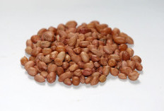 2 Khasiat Rutin Makan Kacang, Bikin Penyakit Kronis Ini Ogah Menyerang