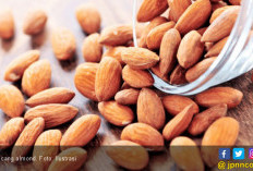 3 Jenis Kacang Sahabat Terbaik Penderita Asam Urat