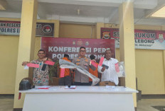 Tanam Ganja di Kebun, Polisi Sita 4 Batang dan Ganja Siap Edar