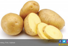 5 Manfaat Kulit Kentang, Bantu Kontrol Gula Darah