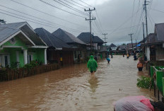 Banjir Luapan Sungai Ketahun Terjang Lebong, 56 Rumah Warga dan Infrastruktur Porak-poranda