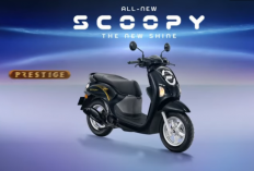 Berapa CC Honda Scoopy 2026? Berikut Reviewnya Beserta Harga  Jogja
