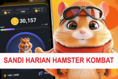Harga Koin Hamster Kombat Terkini: Meroket Pasca Listing di Bitget!