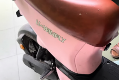 Review Sepeda Listrik Uwinfly D8S Setelah 2,5 Tahun Pemakaian