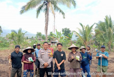 BUMDes Pelabuhan Talang Leak Lanjutkan Tanam Jagung MT2 Meski Rugi