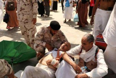 Jumlah Jamaah Haji yang Meninggal Dunia Melonjak Jadi 900, Mayoritas asal Mesir
