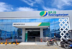BSU Belum Cair di Bengkulu, BPJS Ketenagakerjaan Ungkap Penyebabnya