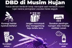 Waspada DBD Selama Musim Penghujan, Berikut Langkah Pencegahannya