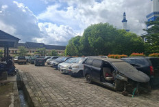  62 Mobil Dinas Pemkab Lebong Dilelang Online, Target PAD Rp 2 Miliar