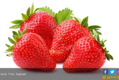 5 Buah Rendah Kalori untuk Menurunkan Berat Badan