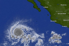 Peringatan Gelombang Berbahaya! Hurricane Kristy di Baja California