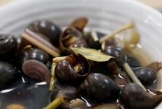 Keong Sawah, Sumber Protein Hewani Alternatif yang Sehat dan Bergizi