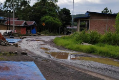 Jalan Rusak dan Rawan Longsor, Camat Lebong Selatan Ingatkan Pemudik Lebih Hati-hati