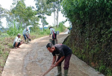 Pemdes dan Warga Desa Mangkurajo Gotong Royong Perbaiki JUT