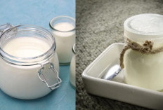 Cara Membuat Yogurt Untuk Ramadhan, Hanya Butuh 2 Bahan Ini!