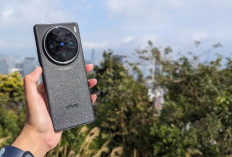 Vivo X100 Pro 512 GB HP Penyimpanan Besar untuk Penggemar Fotografi