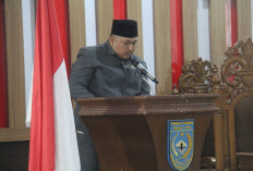 Dewan DPRD Bengkulu Utara Hamdani Minta Pemkab BU Inventarisasi Permasalahan Pembangunan Desa