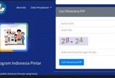 Apakah PIP Bulan Juli Sudah Dicairkan? Begini Cara Mengecek PIP Lewat HP