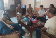 Hasil Akhir Seleksi Belum Diumumkan, THLT Datangi BKPSDM Lebong