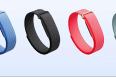 Google Fitbit Air vs Whoop: Perbandingan Spesifikasi, Fitur AI, dan Total Biaya