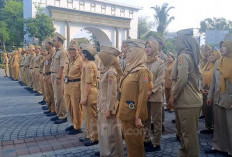 Tak Ada PHK PPPK Tahun Ini, yang Ada Malah Rekrutmen