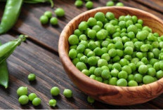 3 Manfaat Kacang Polong, Wanita Pasti Suka