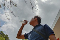 3 Khasiat Rutin Minum Air Hangat Setiap Hari, Baik untuk Penderita Sembelit