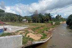 Pemdes Nangai Tayau Minta Solusi Atas Pelapis Sungai yang Ambruk