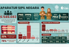 Jumlah PPPK & P3K PW 2,98 Juta dari Total ASN, Bakal Dikontrak Terus?