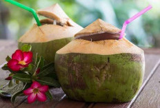 5 Manfaat Air Kelapa, Bantu Kontrol Berat Badan