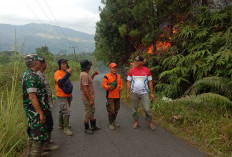 Satu Hektar Lahan Terbakar, Diduga Akibat Puntung Rokok