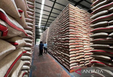 Pemerintah RI Pastikan Tidak Ada Impor Beras & Gula untuk Konsumsi di 2026